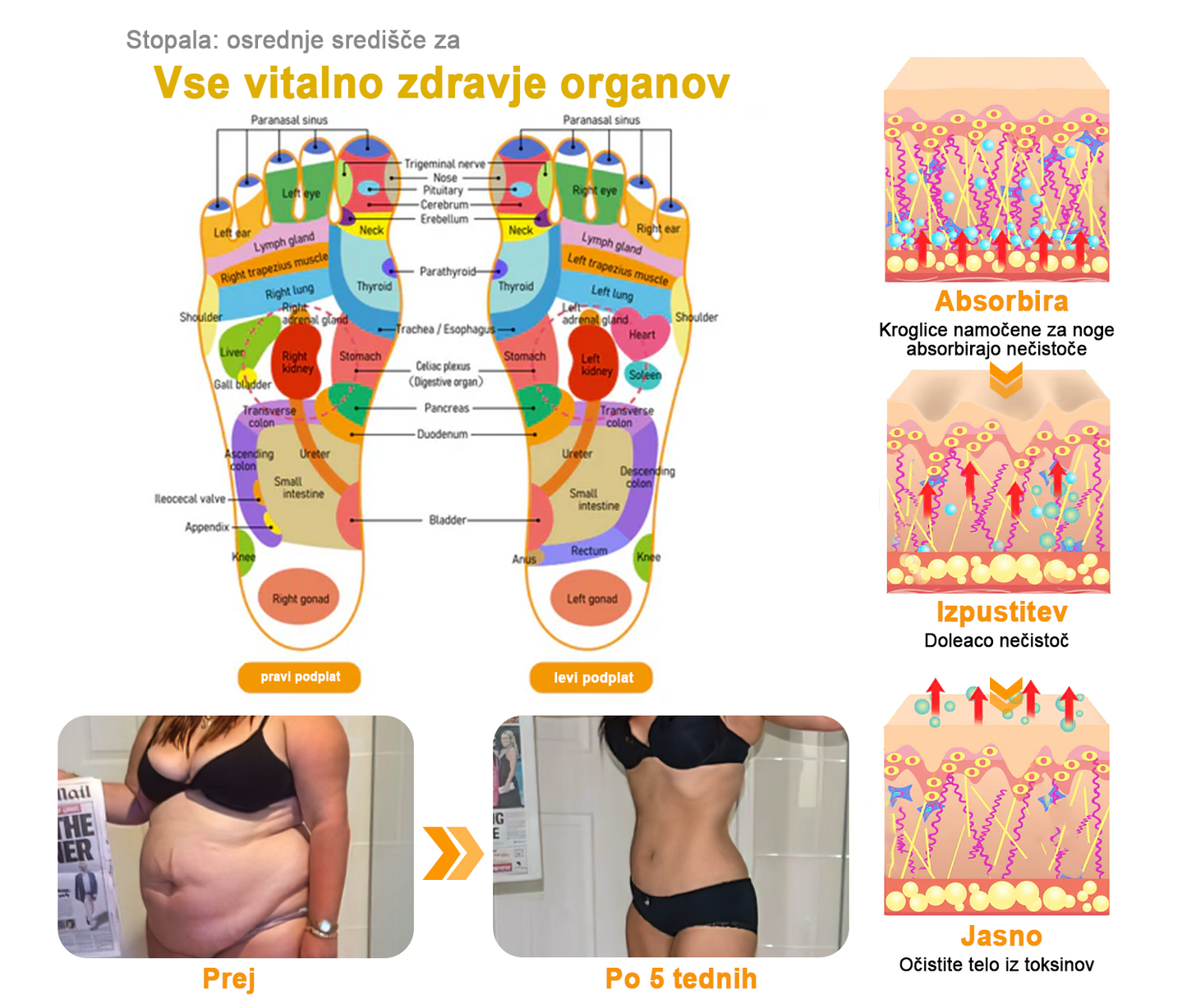 𝐀𝐞𝐞𝐡𝐟𝐞𝐧𝐠™ 𝐙𝐞𝐥𝐢šč𝐧𝐞 𝐫𝐚𝐳𝐬𝐭𝐫𝐮𝐩𝐥𝐣𝐞𝐯𝐚𝐥𝐧𝐞 𝐤𝐫𝐨𝐠𝐥𝐢𝐜𝐞 𝐳𝐚 𝐯𝐞𝐧𝐞 𝐳𝐚 𝐤𝐨𝐩𝐞𝐥 𝐧𝐨𝐠🦵👩⚕️ (LANA Certification, European Lymphology Association)